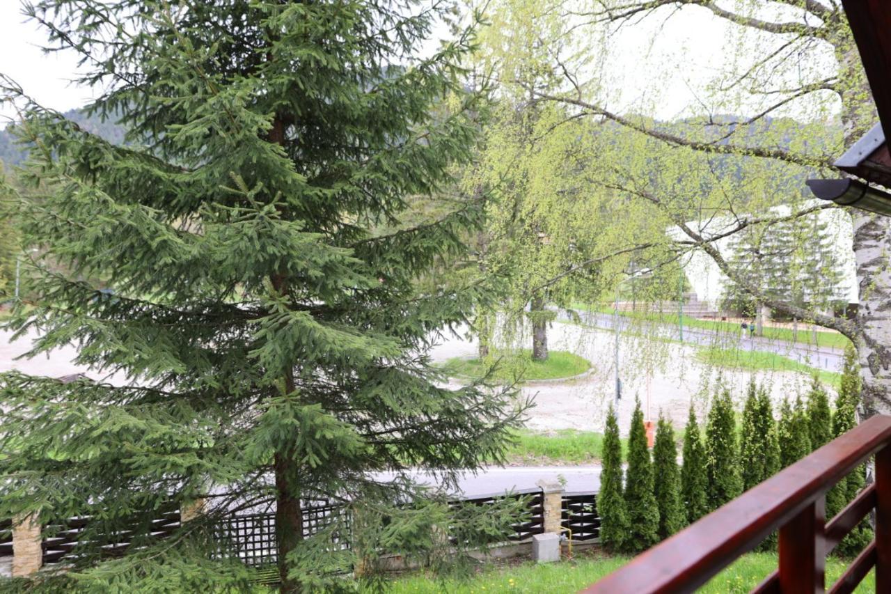 Vila Pinul Si Mesteacanul Poiana Brasov Exteriör bild