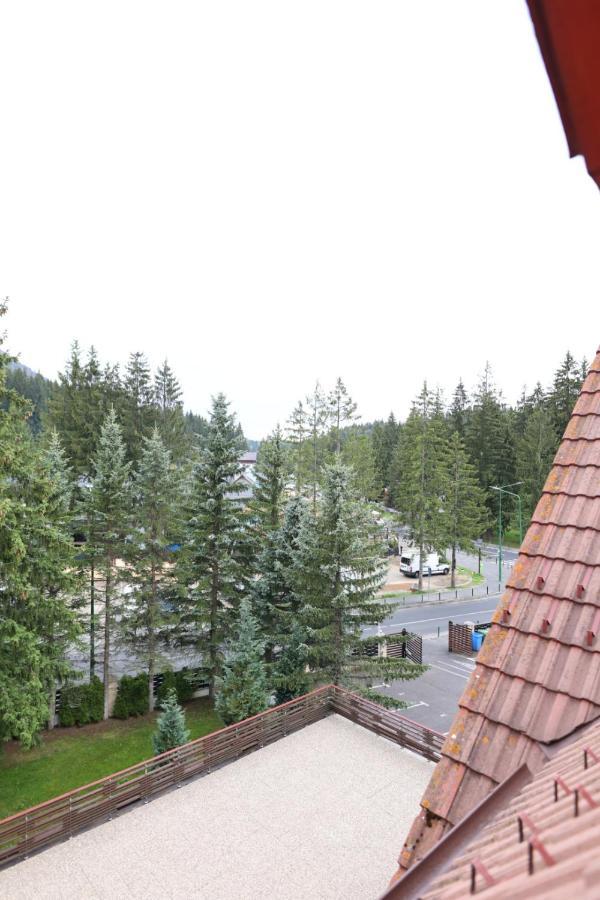 Vila Pinul Si Mesteacanul Poiana Brasov Exteriör bild