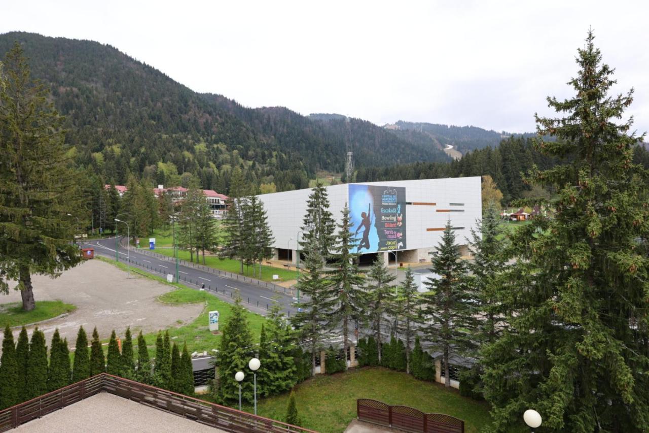 Vila Pinul Si Mesteacanul Poiana Brasov Exteriör bild