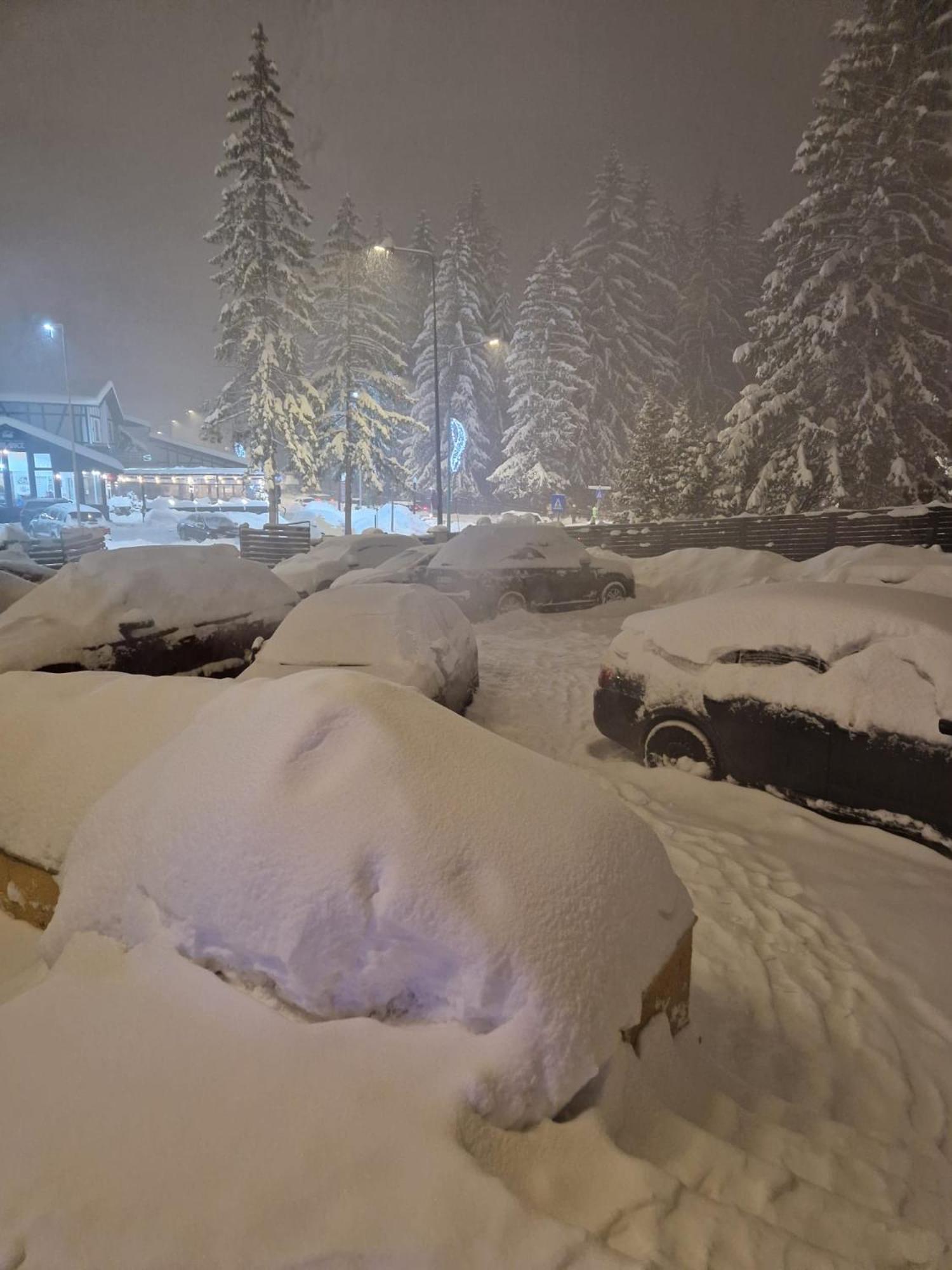 Vila Pinul Si Mesteacanul Poiana Brasov Exteriör bild