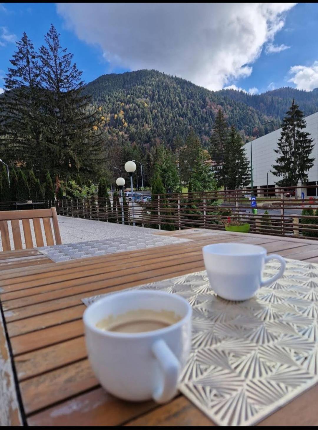 Vila Pinul Si Mesteacanul Poiana Brasov Exteriör bild