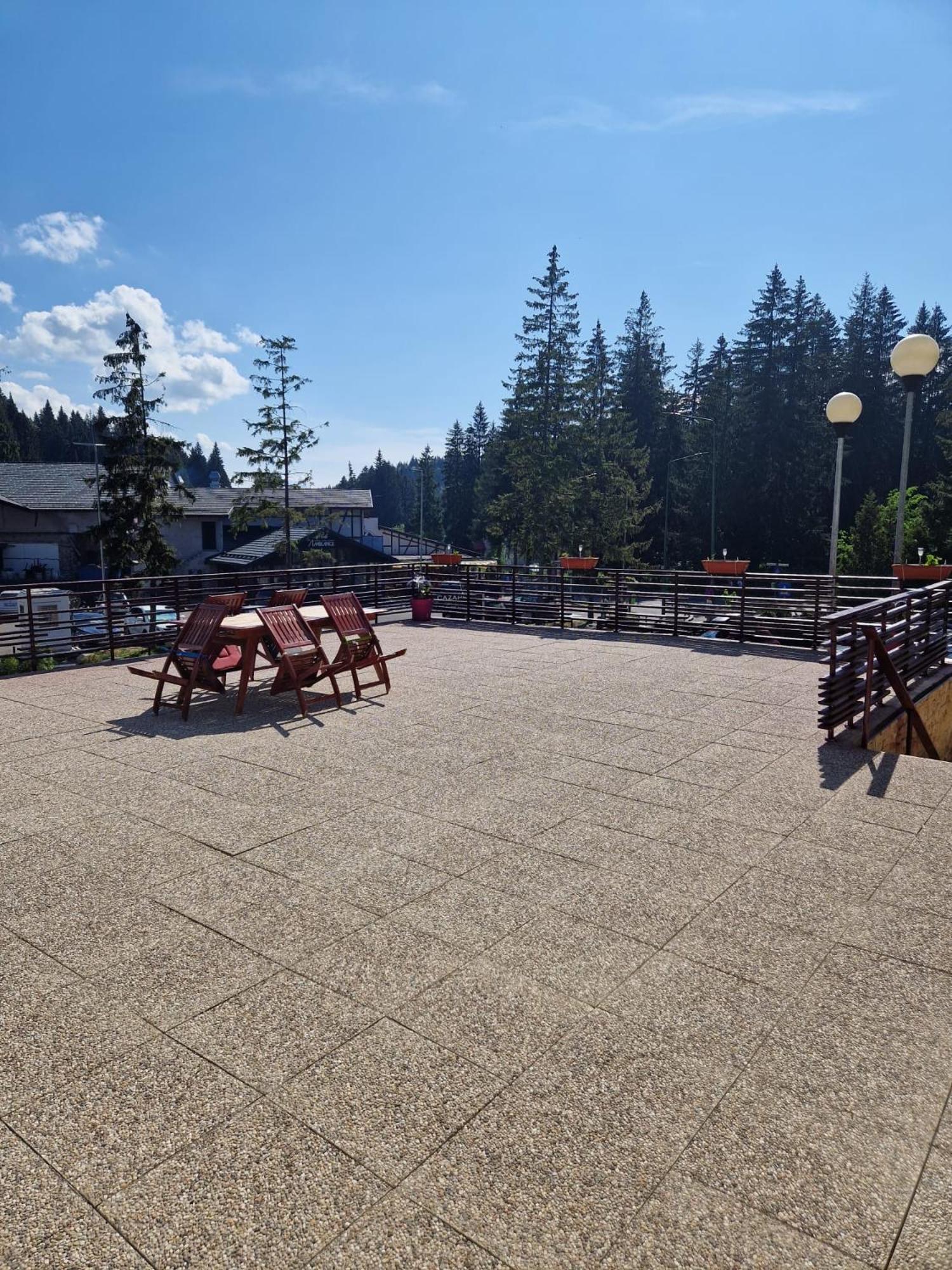 Vila Pinul Si Mesteacanul Poiana Brasov Exteriör bild