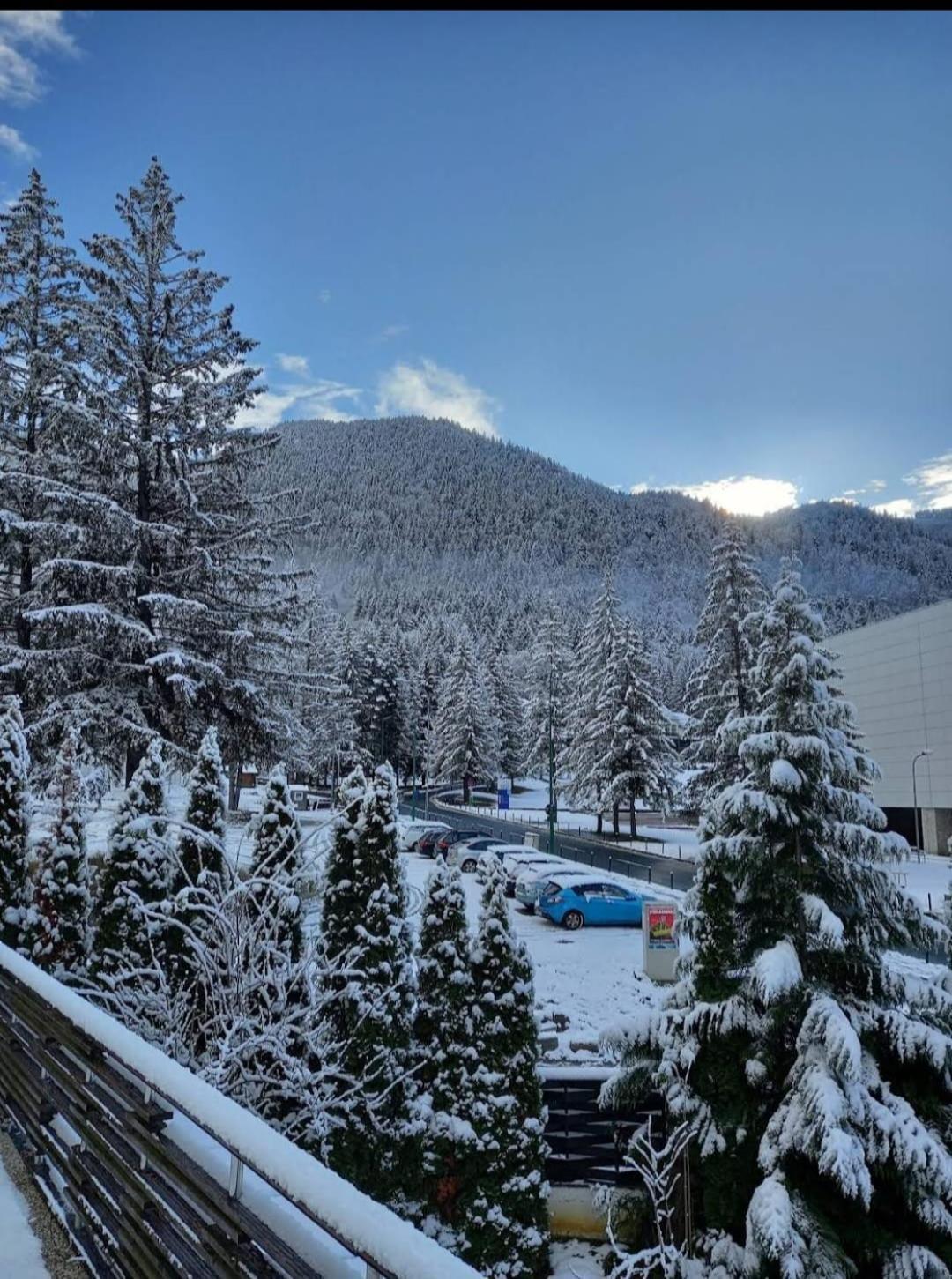 Vila Pinul Si Mesteacanul Poiana Brasov Exteriör bild