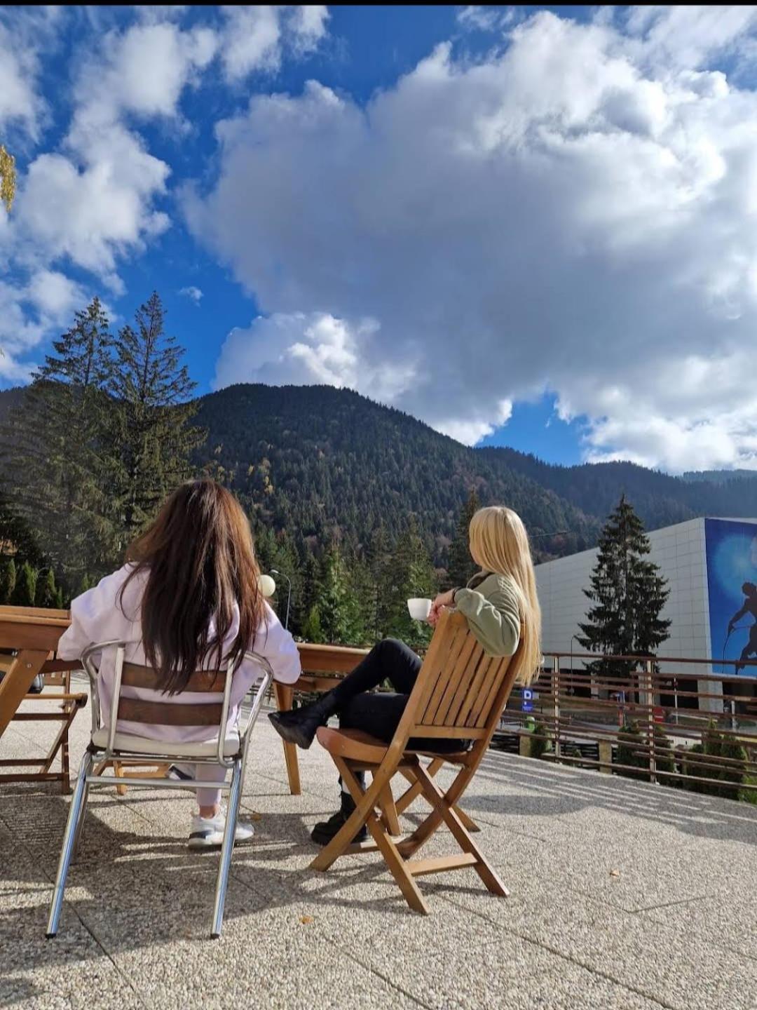 Vila Pinul Si Mesteacanul Poiana Brasov Exteriör bild