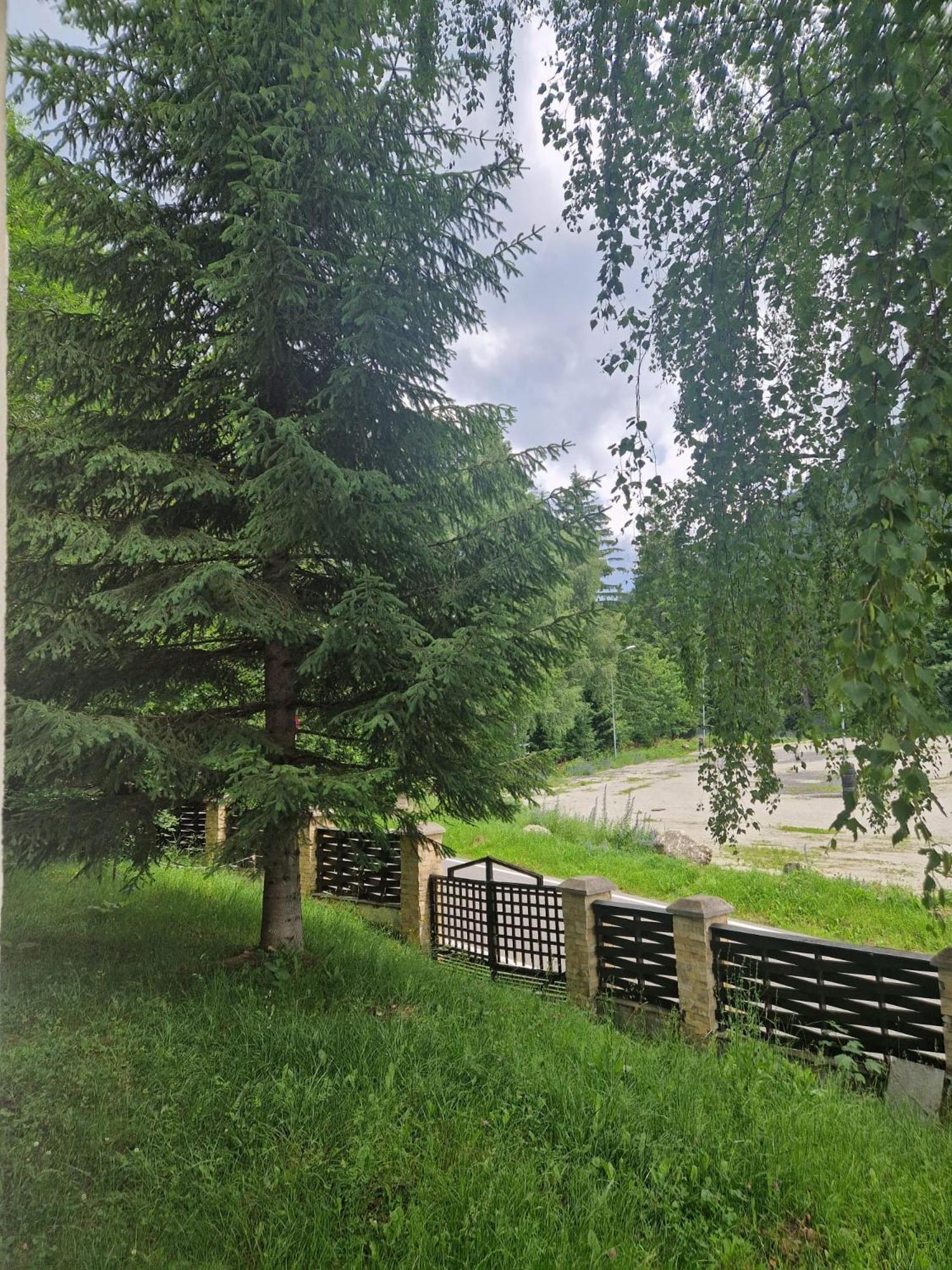 Vila Pinul Si Mesteacanul Poiana Brasov Exteriör bild