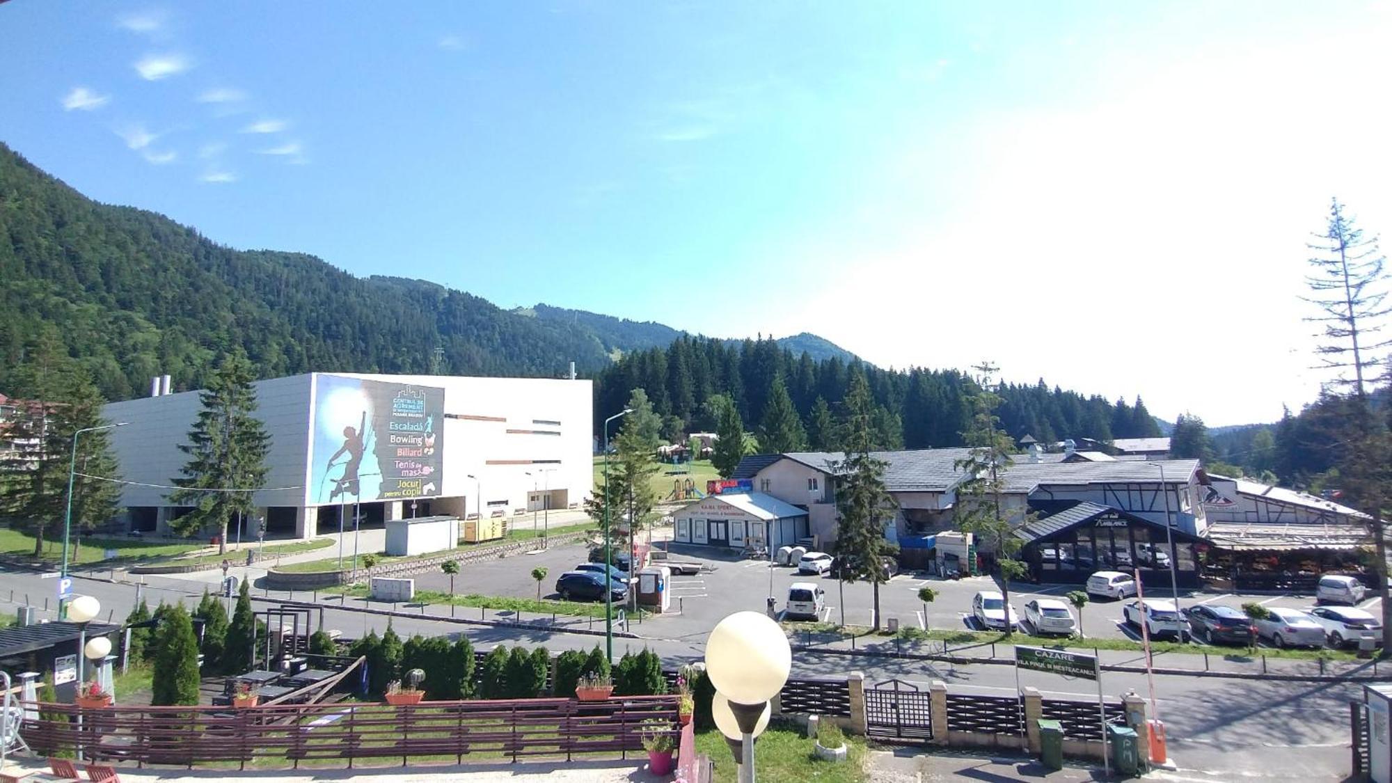 Vila Pinul Si Mesteacanul Poiana Brasov Exteriör bild